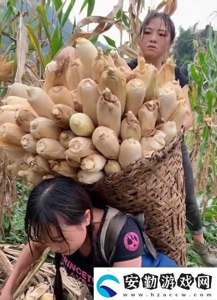 農夫“果兒”奇遇記