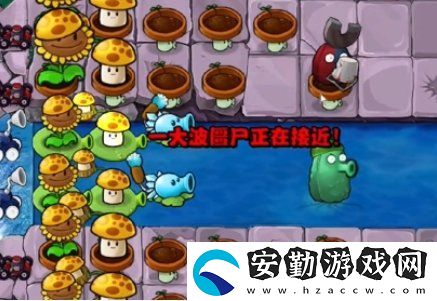 植物大戰(zhàn)僵尸雜交版冒險(xiǎn)34關(guān)怎么放置植物