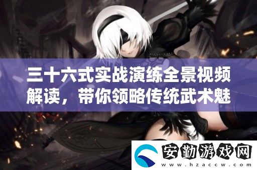三十六式實(shí)戰(zhàn)演練全景視頻解讀