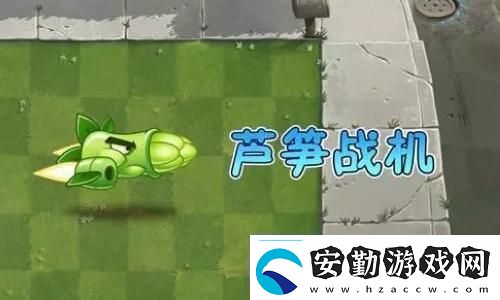 帝國時代3為什么顯示沒有地圖顯示