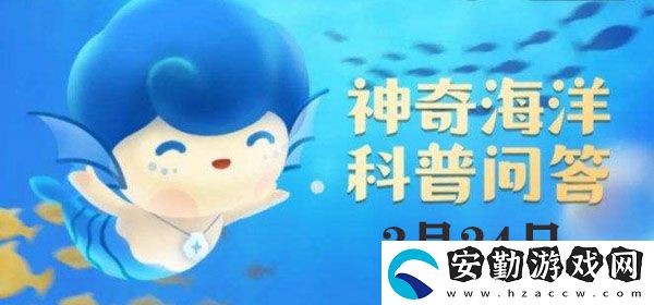 以下哪種鯨魚(yú)被稱(chēng)為“熱帶鯨”