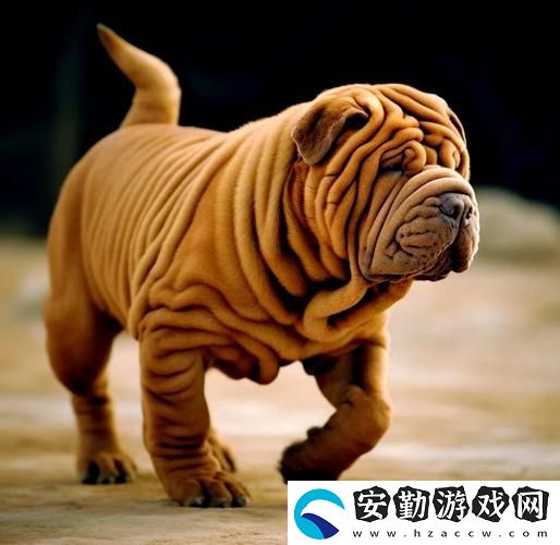 如何理解“AAAA級毛皮最火的一句狗”——神秘的毛皮文化探索