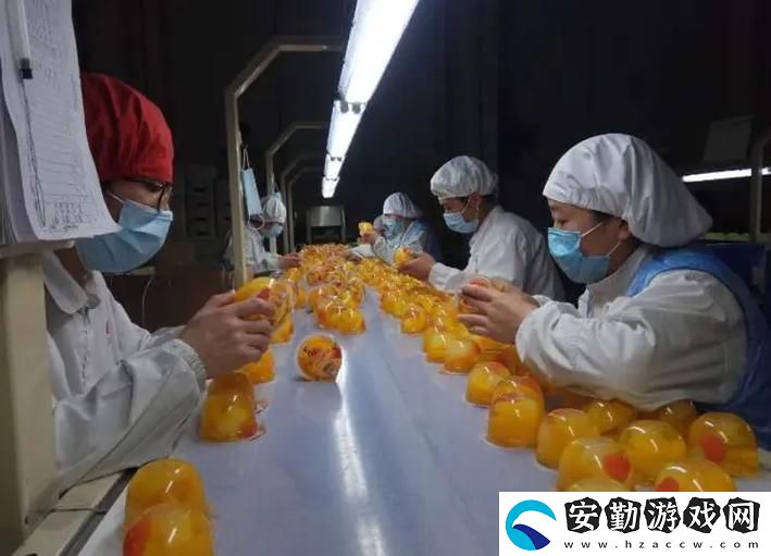 探秘9I果凍制作廠