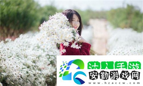 茄子懂你更多app導航